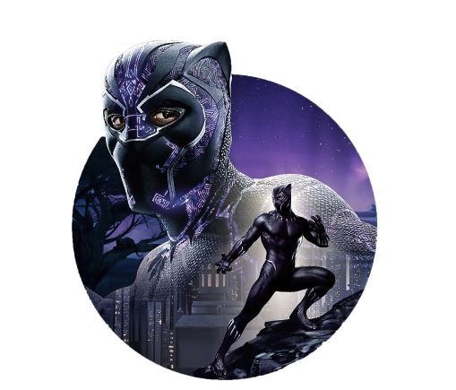 Photo du Black Panther